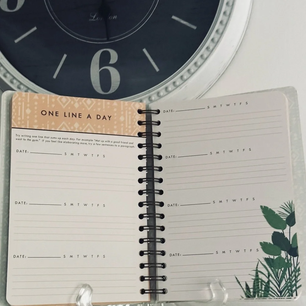Lady Jayne Peach Diamonds Guided Journal (15271), Multicolor, 6